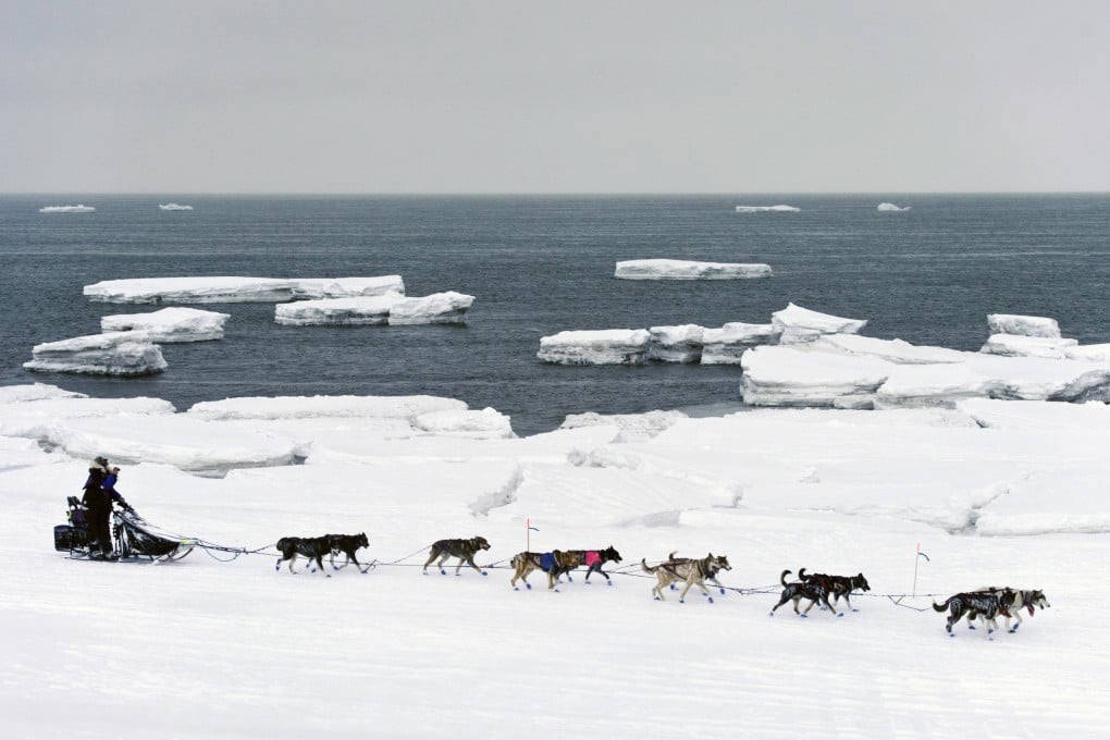 Dog sled team crossing Arctic sea ice near the Bering Strait, illustrating the harsh environment where a future Asia-North America rail tunnel could connect Alaska and Russia.